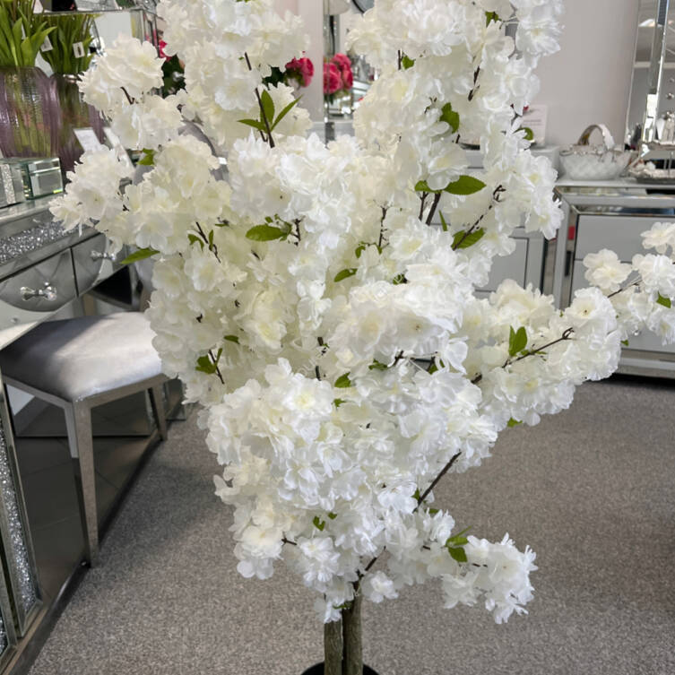 Drzewo wiśniowe w donicy 160 cm 