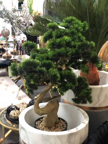 Drzewo Bonsai 88 cm