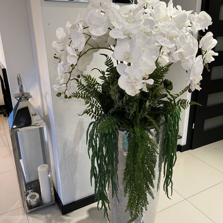 Storczyk kompozycja kwiatowa w donicy 