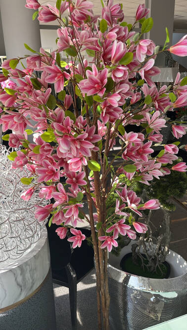 Drzewo magnolii 180 cm różowe 