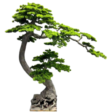 Sztuczne drzewko Bonsai jak żywe 180x90x200