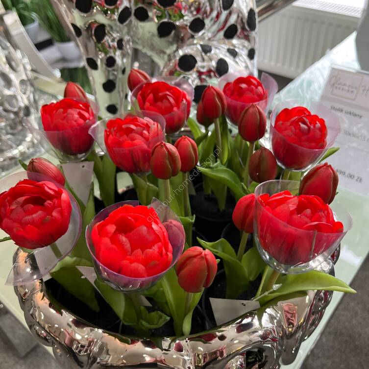Tulipany gumowe czerwone