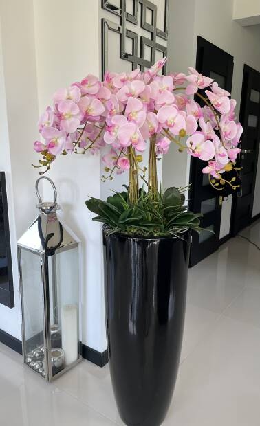 Storczyki kompozycja kwiatowa w donicy 